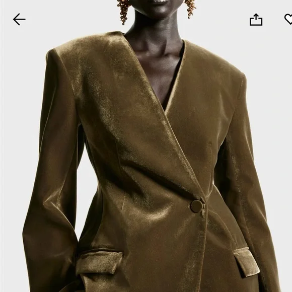 H&M Holiday 2025 Women's Velvet Blazer/Jacket (dark khaki green) size M & L. NWT - Picture 3 of 9